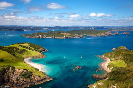 Bay of Islands tour