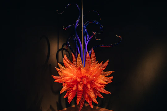 Matakana art and wine escape