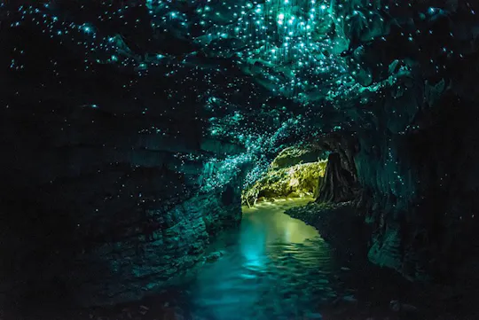Waitomo Glowworm Cave Tour with Boat Ride