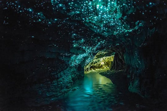 Waitomo Glowworm-grottour met boottocht