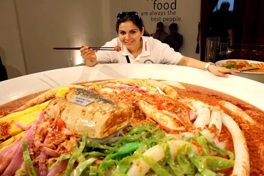Ingressos Wonderfood Museum Penang