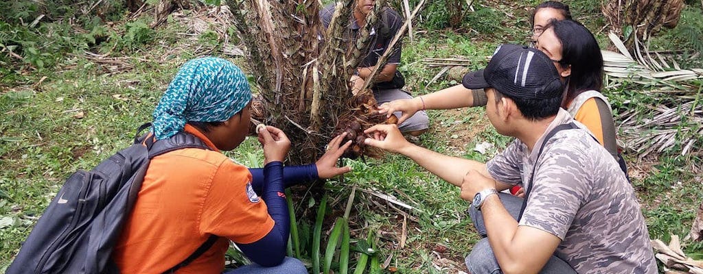 Randonnée Agro Eco Salak