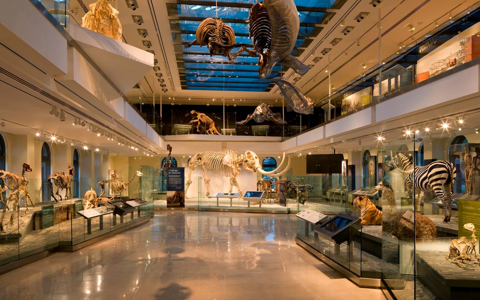 Kaartjes voor het Natuurhistorisch Museum van Los Angeles