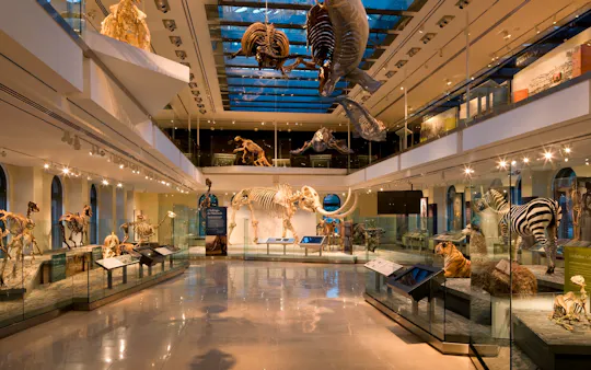 Natural History Museum of Los Angeles tickets