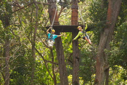 Kohala zipline canopy adventure