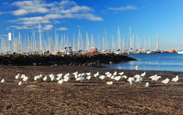 Geelong, Australie