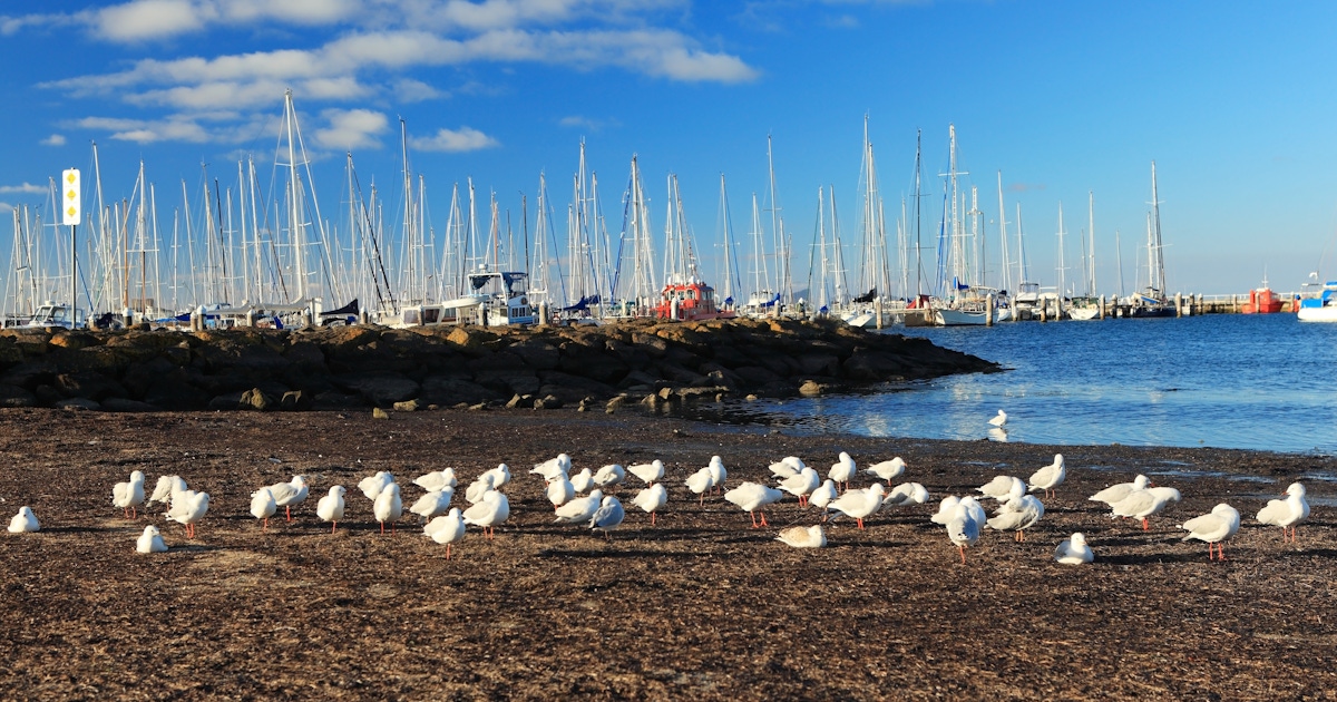 Geelong