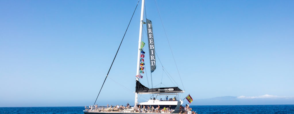 Freebird Catamaran Whale & Dolphin Cruise to Masca