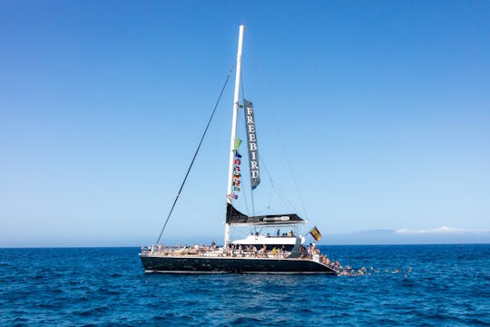 Freebird Catamaran Whale & Dolphin Cruise to Masca