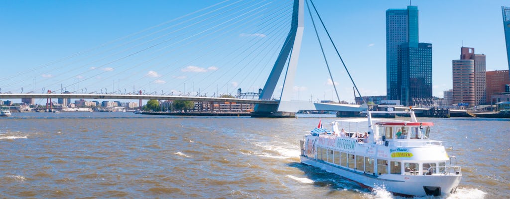 1-stündige Schifffahrt auf dem Fluss Rotterdam