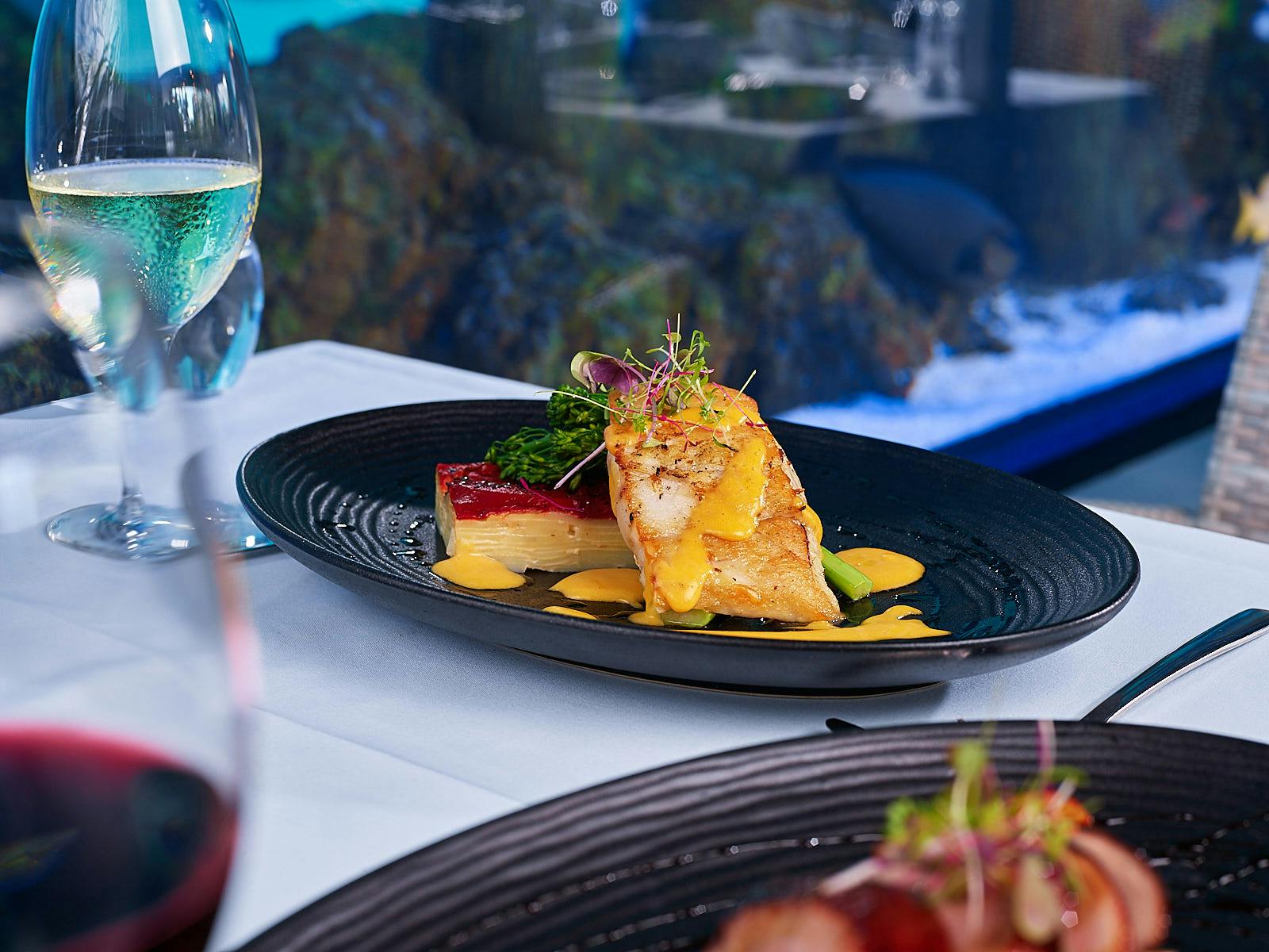 Tour guiado do Cairns Aquarium Twilight com jantar de três pratos