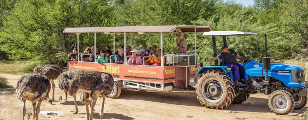 Oudtshoorn ostrich farm tractor safari