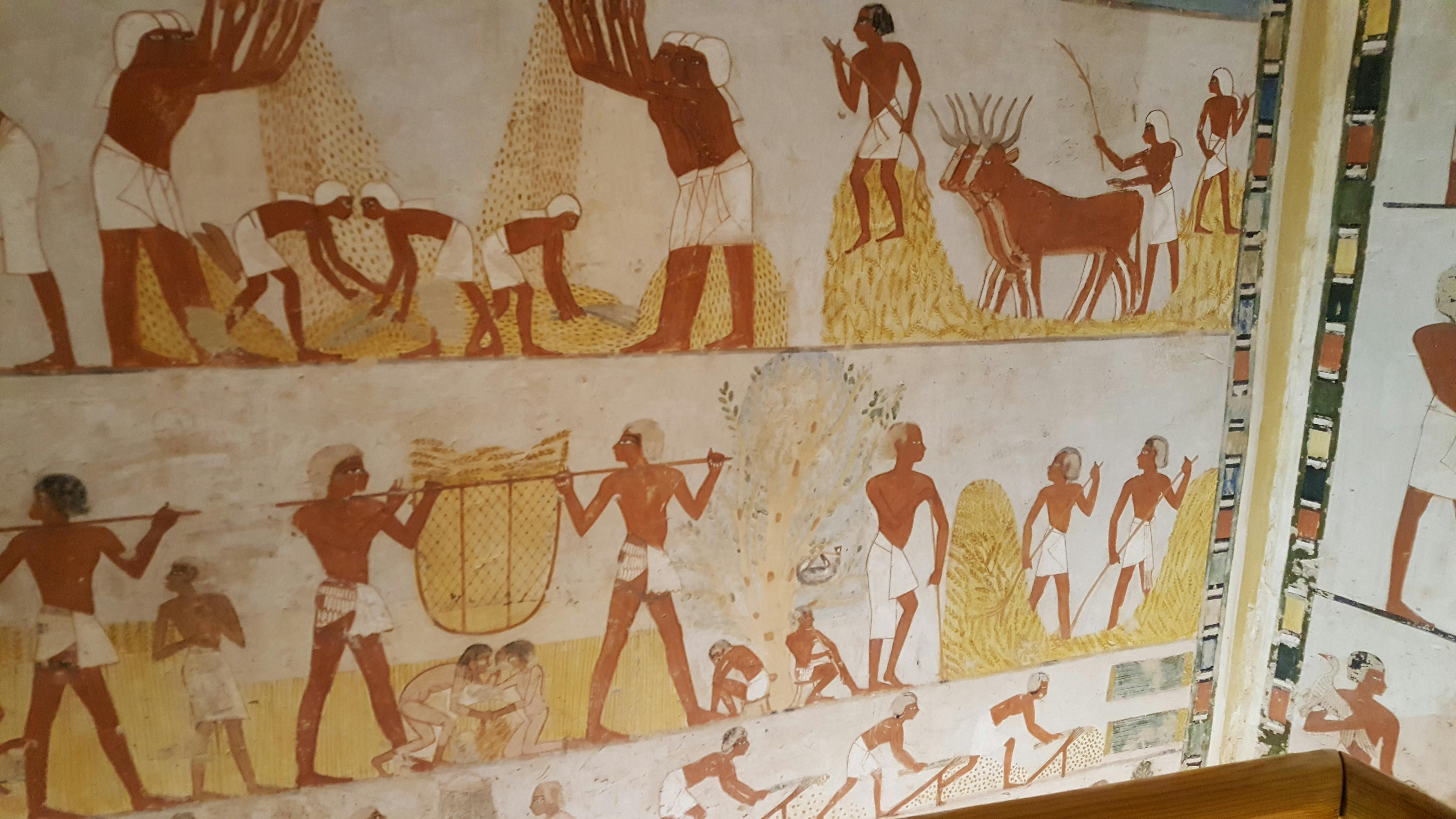 Geführte Tour durch das Tal der Adligen, Medinat Habu und das Ramesseum ab Luxor