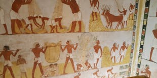 Guided tour of Valley of the Nobles, Medinat Habu and The Ramesseum from Luxor