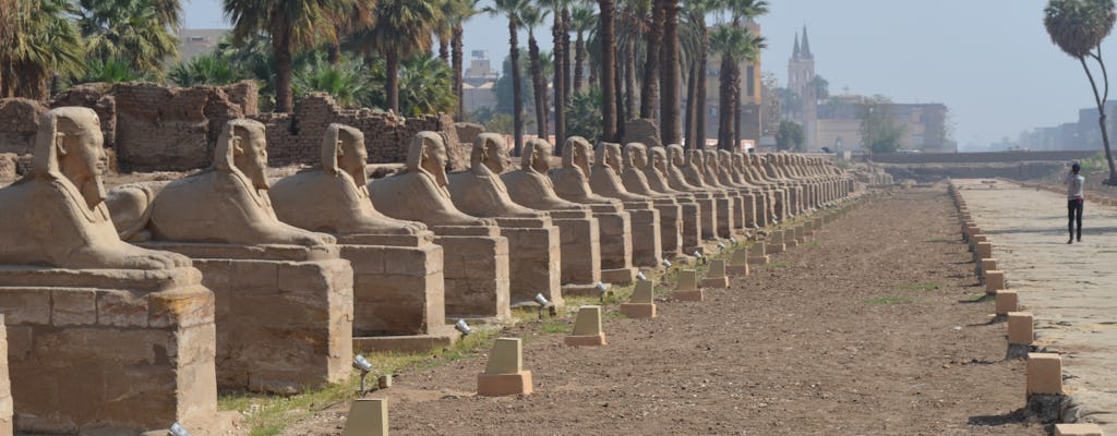 Descubra el templo de Karnak, el callejón de la Esfinge y el templo de Luxor