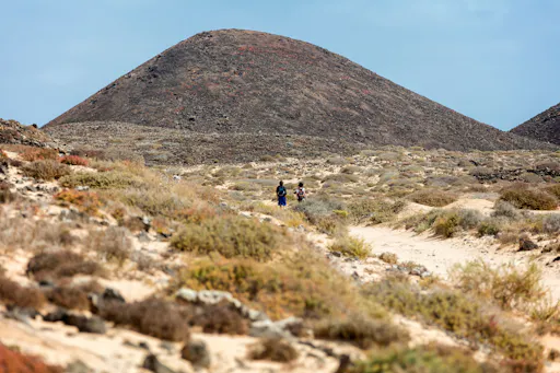 Lobos Island Ferry Ticket with Transfer