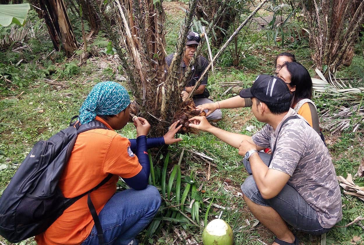 Salak Agro Eco Trekking Tour