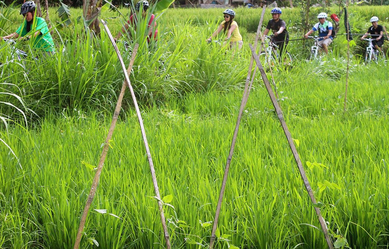 Salak Agro Countryside Cycling