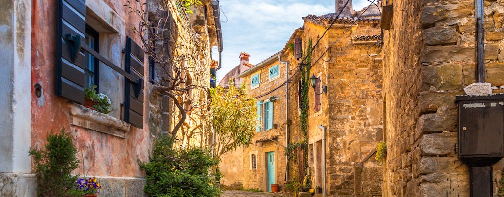 Experiencia de sabor Hum, Motovun y Grožnjan Istria desde Trieste