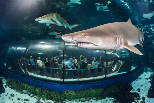 Aquarium Barcelona