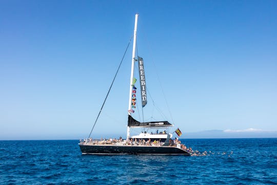 Freebird Catamaran Whale & Dolphin Cruise to Masca