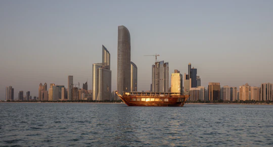 Sightseeing cruise with refreshments and show at Presidential Palace