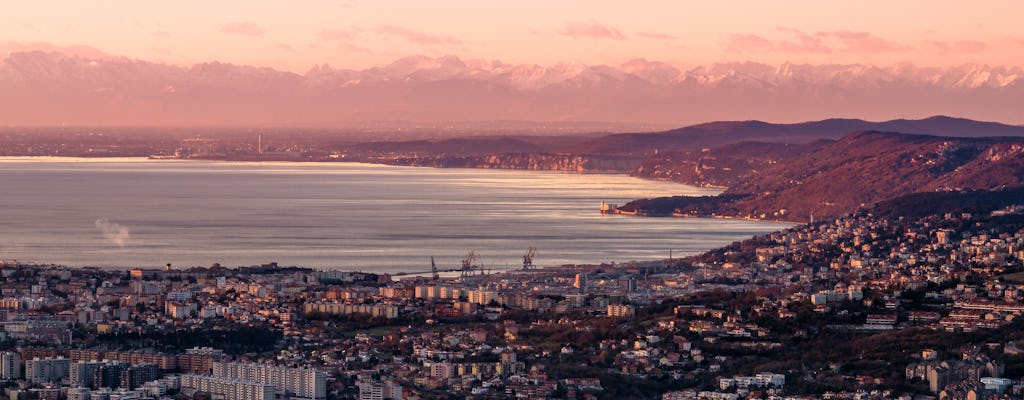 Visite guidée panoramique de Trieste au château de Miramare