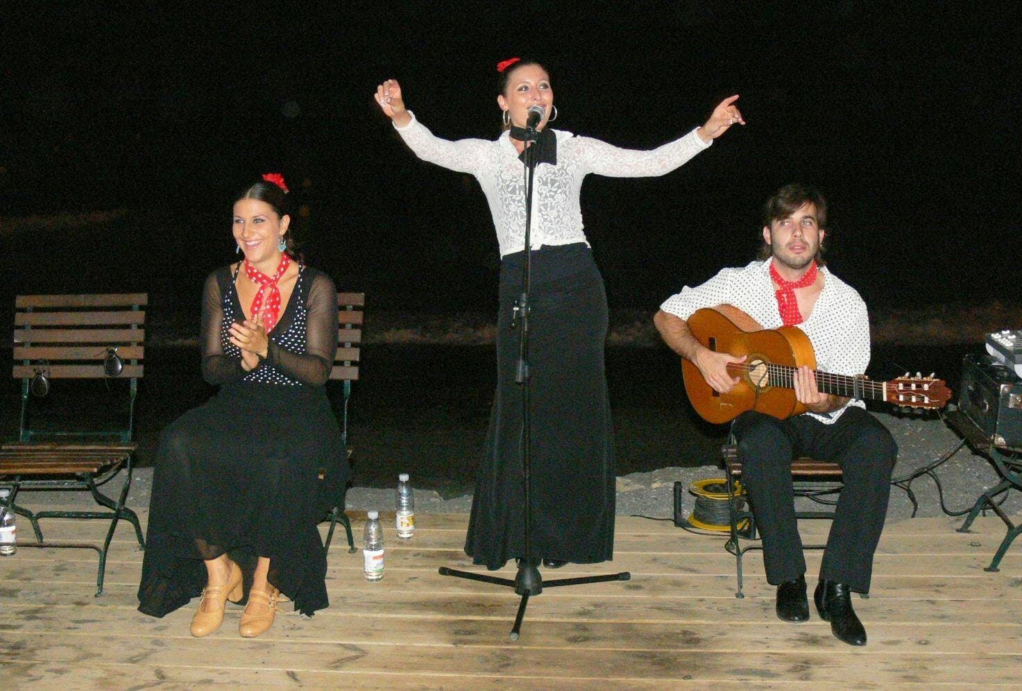 Flamenco by the Sea