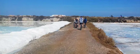 Ria Formosa cycling tour from Faro