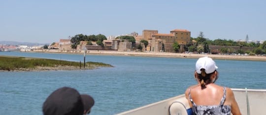 Ria Formosa 1-hour boat tour