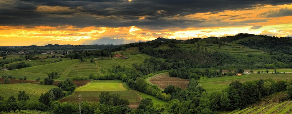 Visita guidata della città del Prosecco e tanjel da Trieste