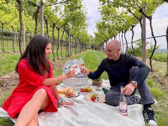 Picnic in vigna presso Villa San Carlo