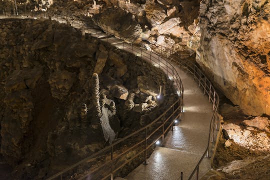 Wycieczka z przewodnikiem do Grotta Gigante i zamku Duino z Triestu