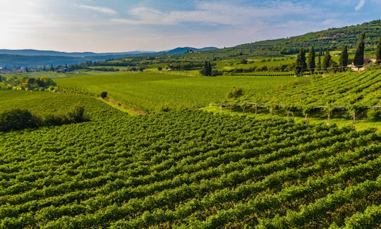 Sfumature del Valpolicella a Villa San Carlo