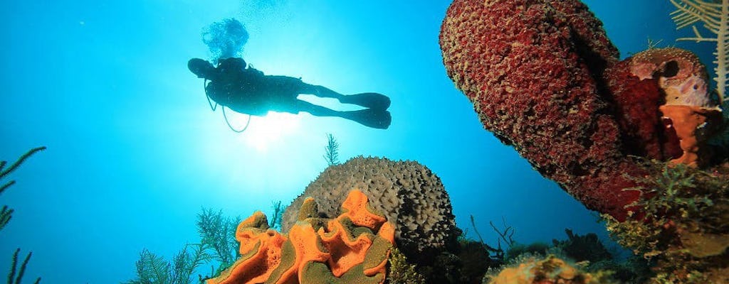 Kurs nurkowania na wodach otwartych Punta Cana