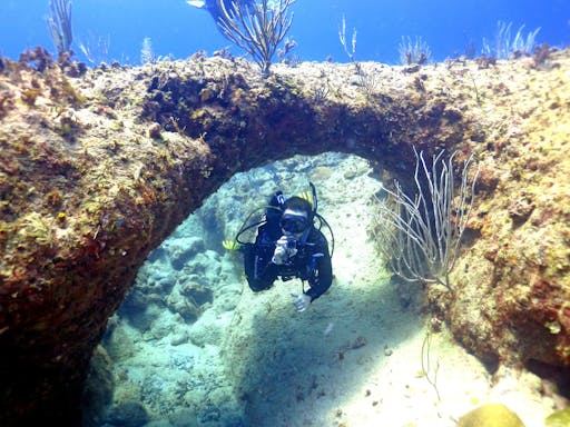 Diving Experience & Boat Tour of Catalina Island