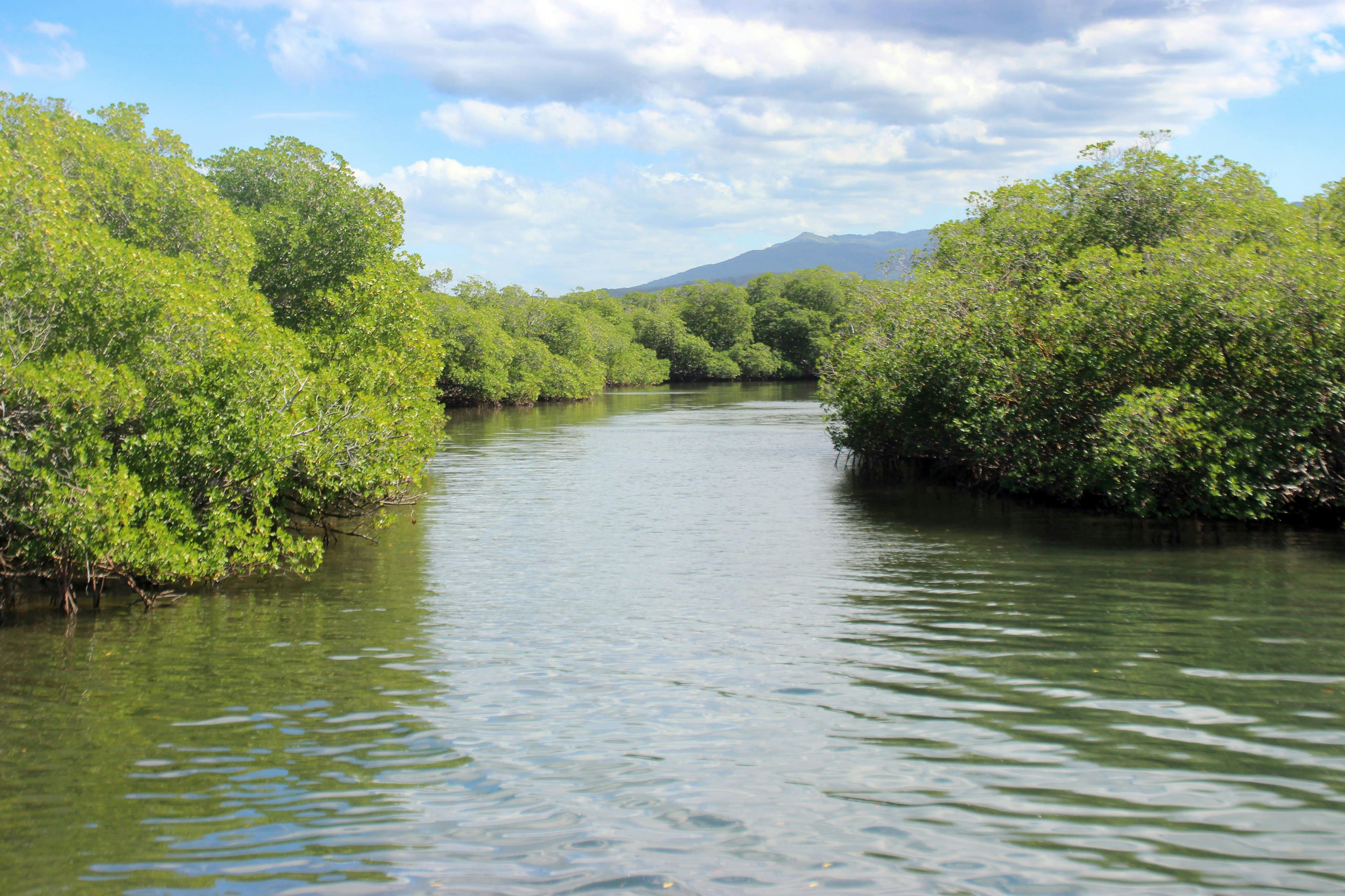 Cayo Arena Catamaran Tour with Cigar Factory Visit