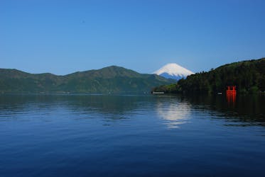 Mount Fuji and Hakone tour with sightseeing cruise and lunch