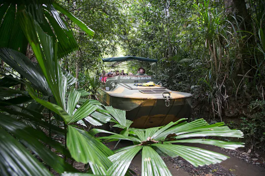 Visite de la forêt tropicale et du village de Kuranda