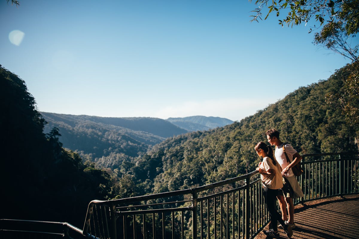 Natural Bridge en Springbrook tour