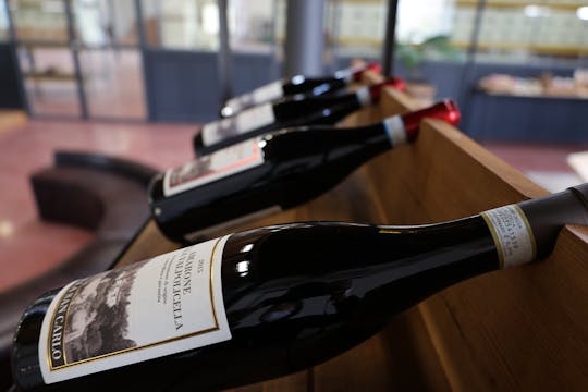 Biglietti per "Viaggio nel tempo con l'Amarone" a Villa San Carlo