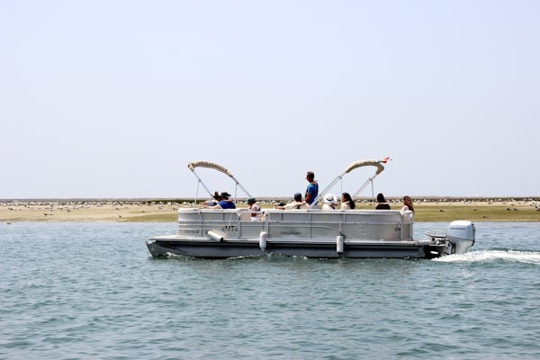 Wycieczka łodzią z obserwacją ptaków Ria Formosa