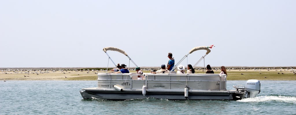 Ria Formosa birdwatching boat tour