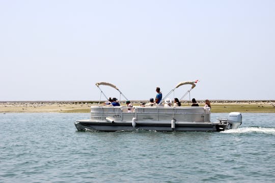 Passeio de barco de observação de aves na Ria Formosa