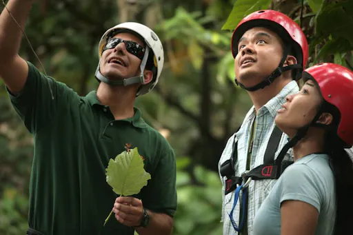 Forest Zipline Adventure Experience
