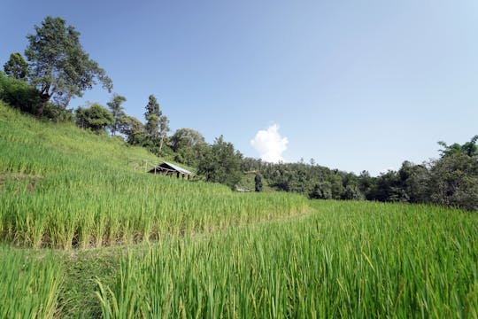 Le sanctuaire d'éléphants de Chang Chill