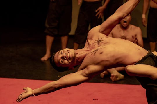 Phare Cambodian circus show evening tour in Siem Reap