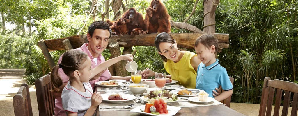 Passeio matinal pelo zoológico de Cingapura