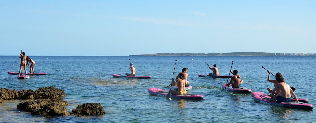 Majorca Sunset Paddleboard Experience
