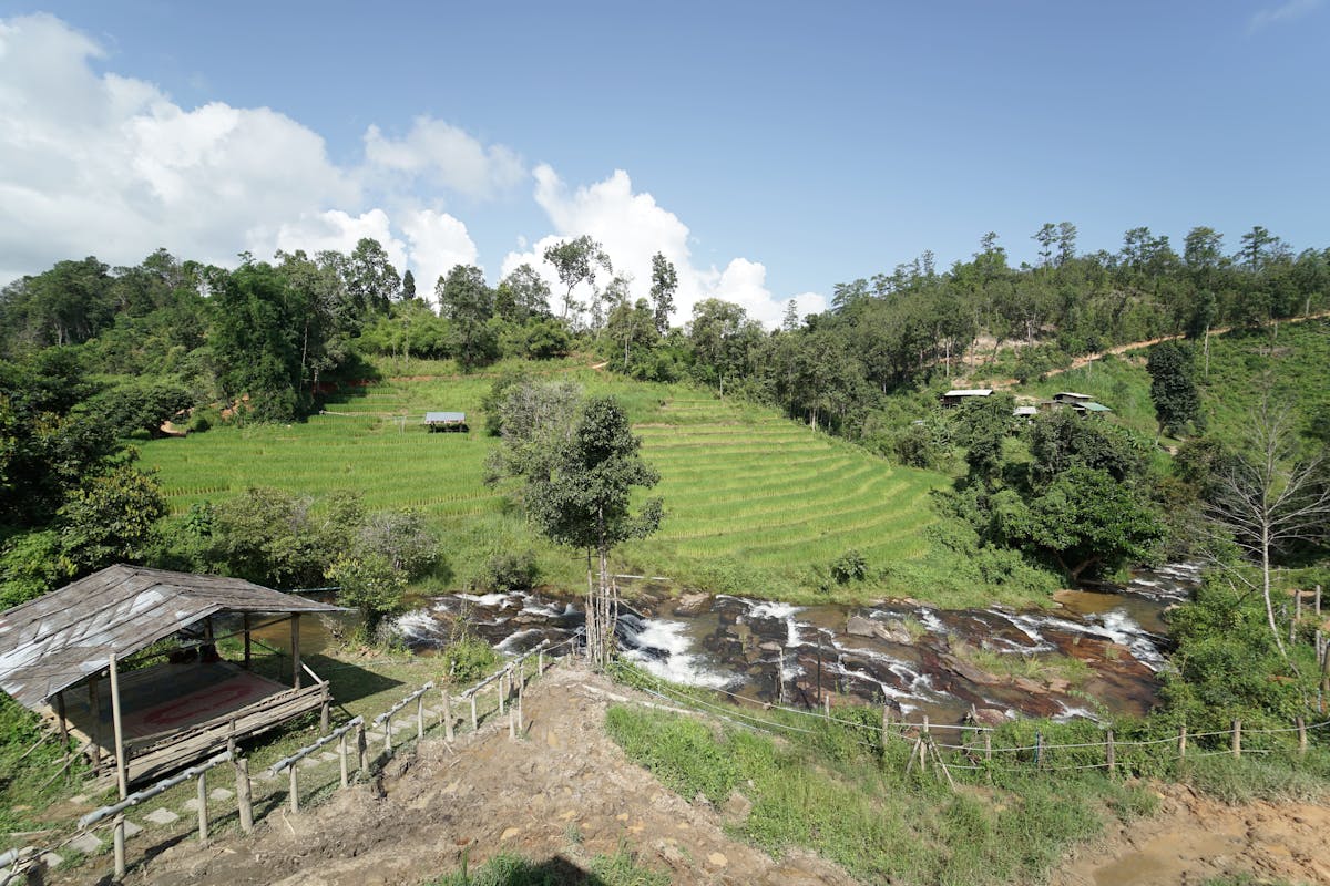 Chang Chill Elephant Sanctuary
